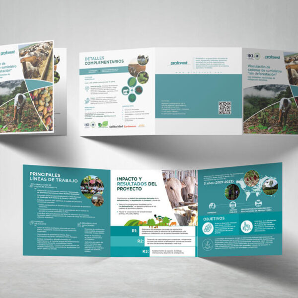 brochure tríptico 20 x 60 cm
